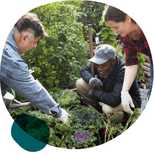 Community Organizations